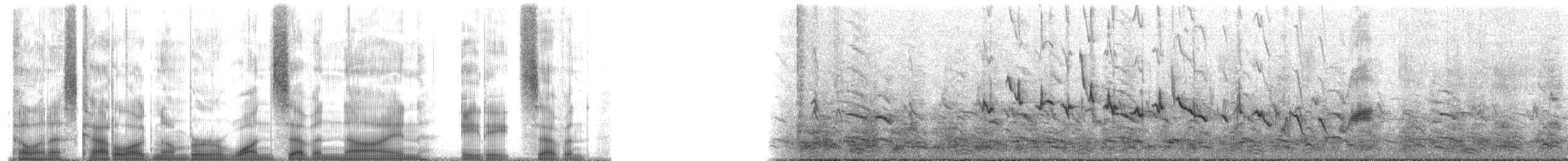 House Finch - ML179887