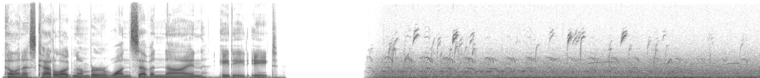 White-crowned Sparrow - ML179888