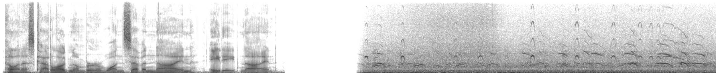 Black Oystercatcher - ML179889