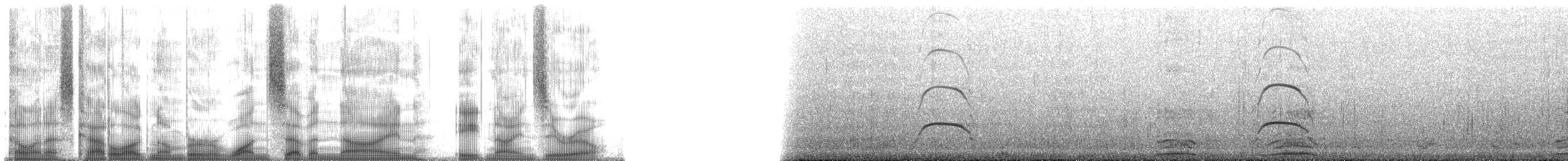 Foca comune - ML179890