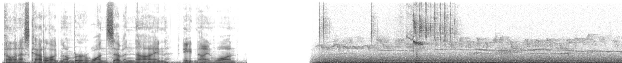 Anna's Hummingbird - ML179891