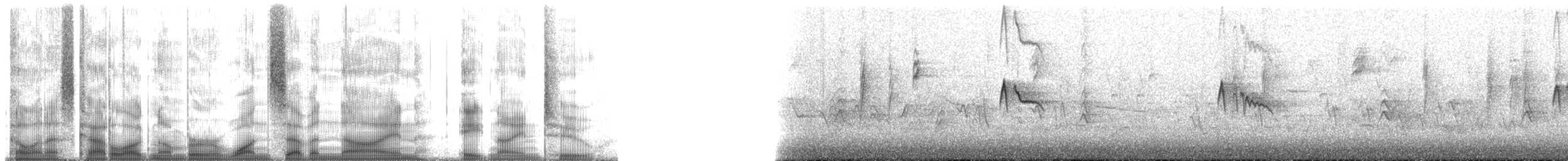 Black Phoebe (Northern) - ML179892