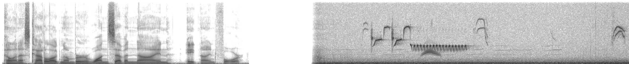 Bewick's Wren - ML179894