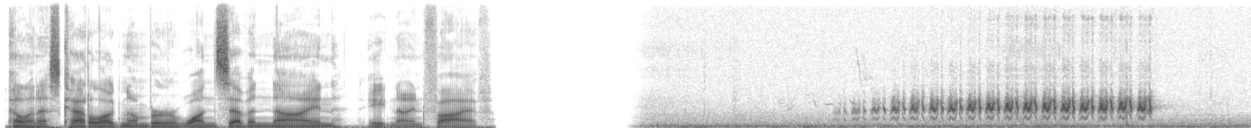 Cactus Wren (affinis Group) - ML179895