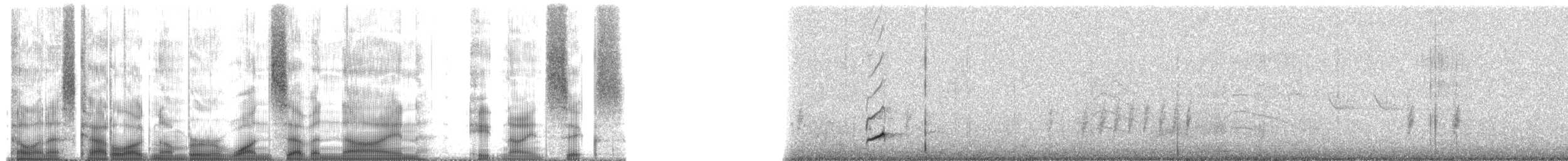 Phainopepla - ML179896