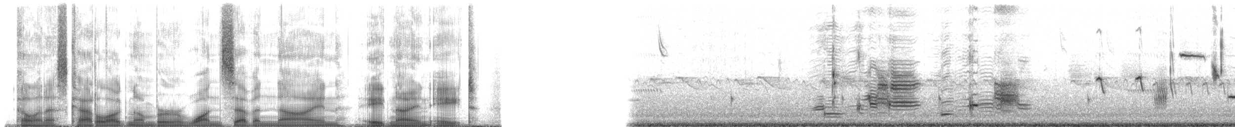 Carouge à épaulettes (groupe phoeniceus) - ML179898
