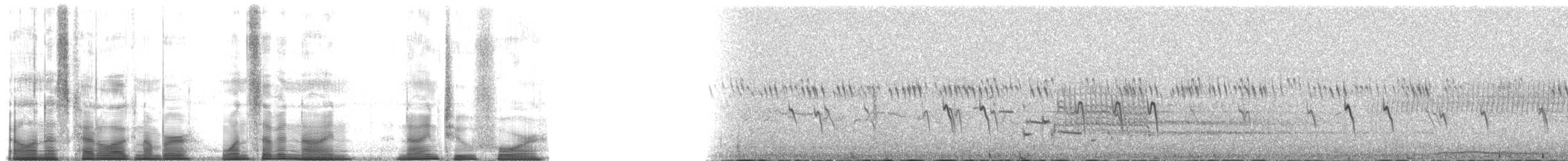 Fichtenkreuzschnabel (Typ 2) - ML179924