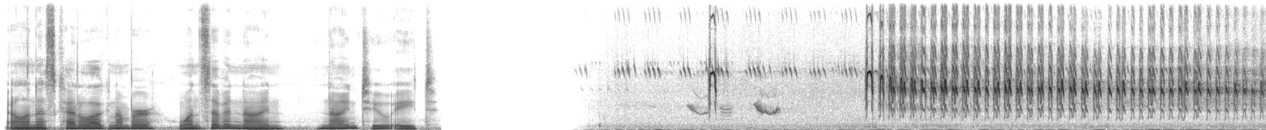 Волосатый дятел (orius/icastus) - ML179928