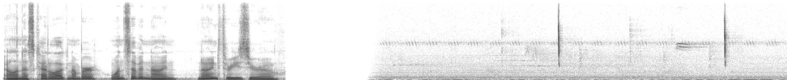 Юнко сірий [група oreganus] - ML179930