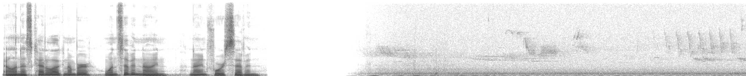 Hermit Warbler - ML179947
