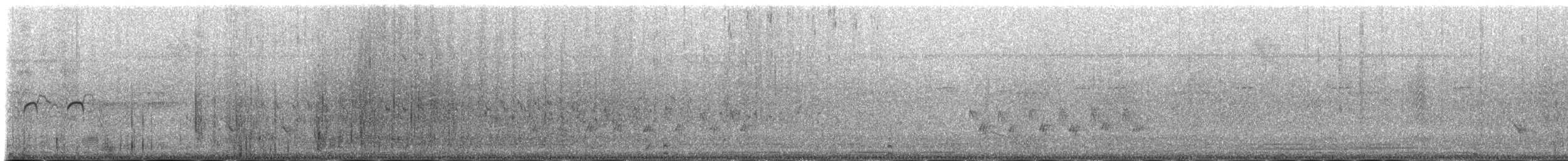 ホオジロオナガガモ（bahamensis／rubrirostris） - ML179948131