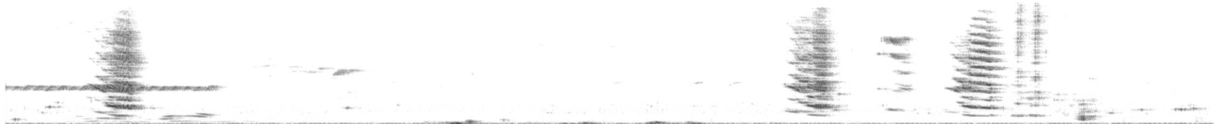 Tannenhäher [hemispila-Gruppe] - ML179952051