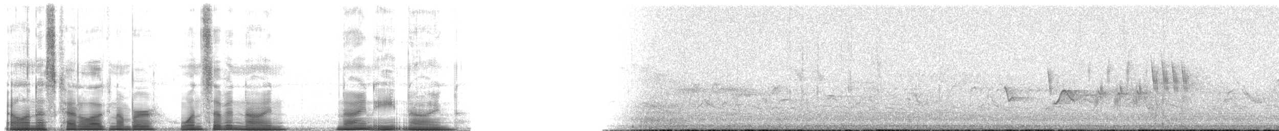 Sittelle à poitrine blanche (groupe lagunae) - ML179989