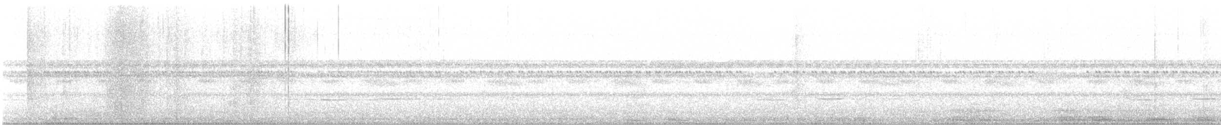 Striped Cuckoo - ML180008851