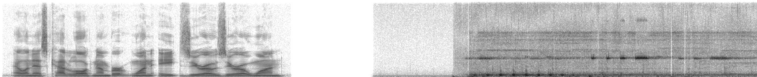 puštík brýlatý - ML18001