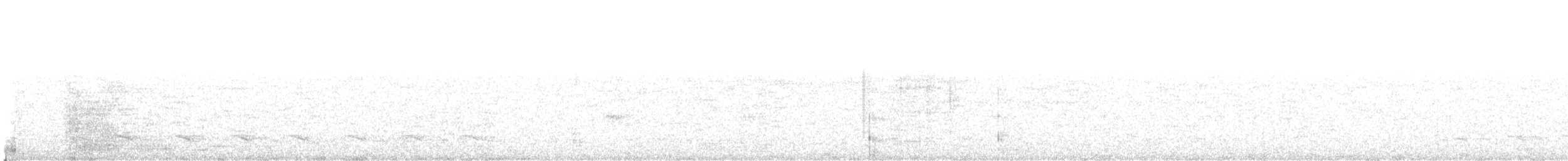 Weißbart-Ameisenwürger - ML180015721
