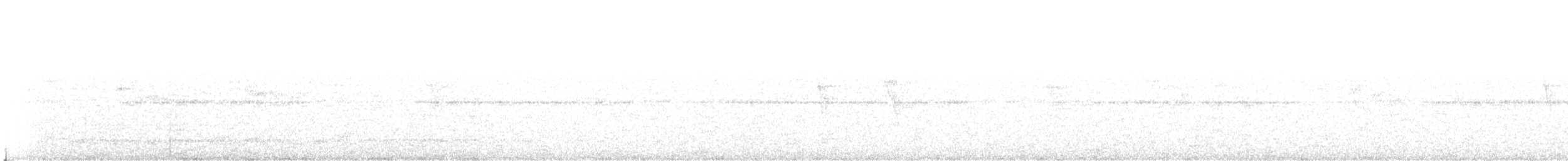 Tororoí de Natterer - ML180018111