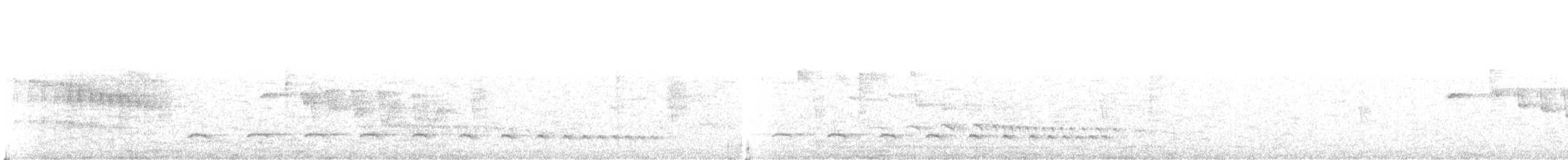 Olivgrau-Ameisenvogel - ML180018431