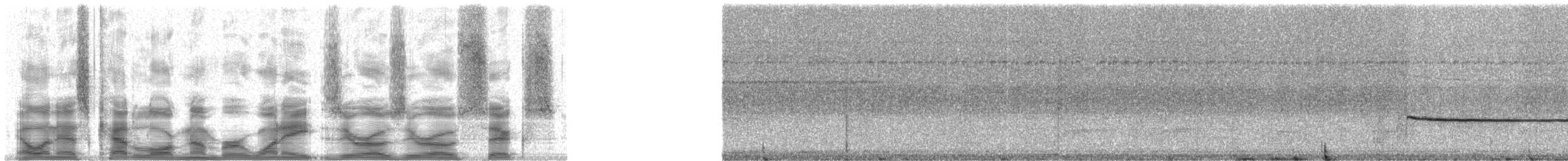 Brown-winged Schiffornis (West Amazonian) - ML18006