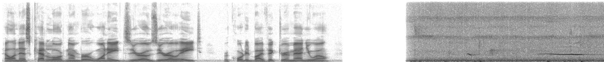 Pavonine Quetzal - ML18008