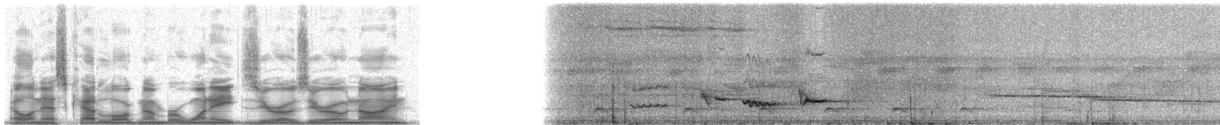 Red-crowned Ant-Tanager (Amazonian) - ML18009