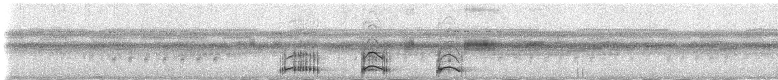 riksetrane (pictus gr.) - ML180099131