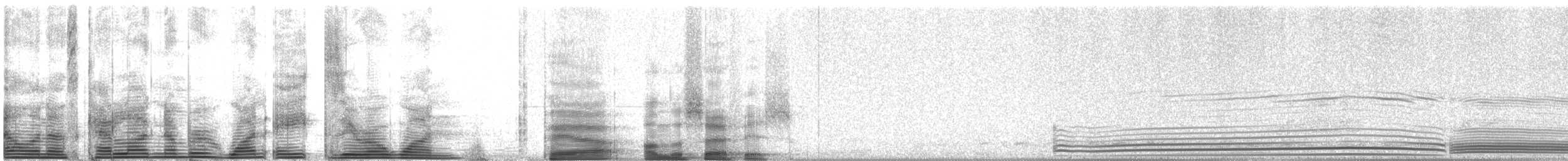Wedge-tailed Shearwater - ML1801