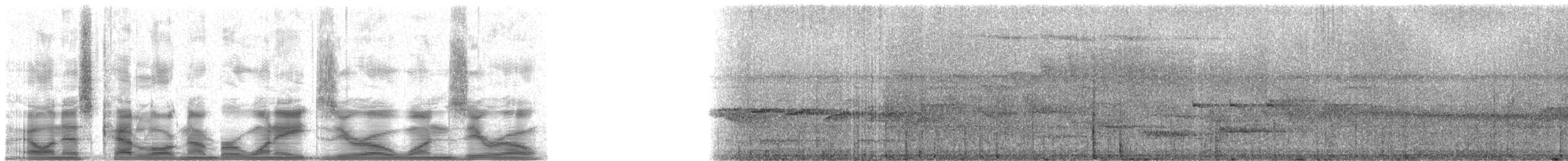 leskovec velký - ML18010