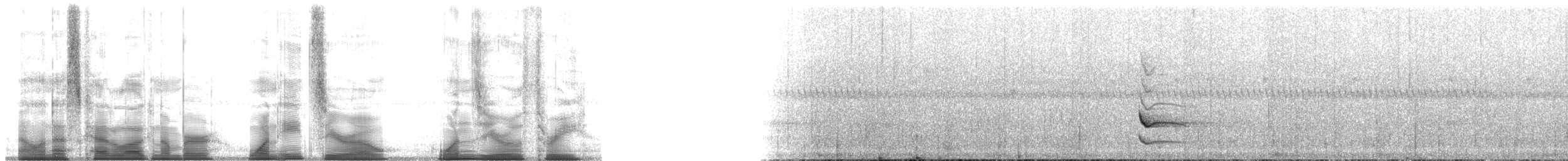 Frogs and Toads - ML180103