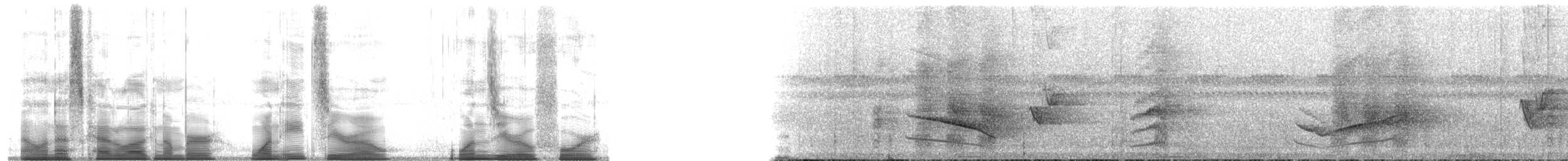 svartbuklarveeter - ML180104