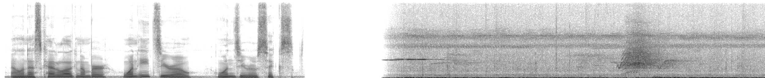 Papuan Eclectus - ML180106