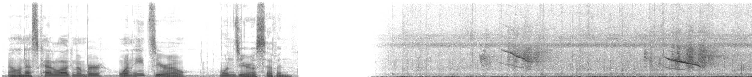 svartbuklarveeter - ML180107