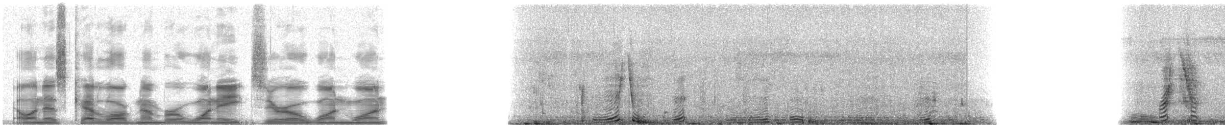 Giant Otter - ML18011