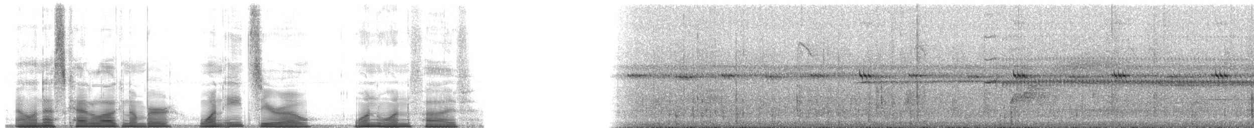 Grasshoppers, Crickets, and Katydids - ML180115