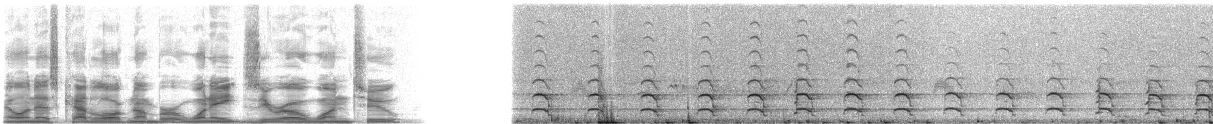guan bělokřídlý - ML18012