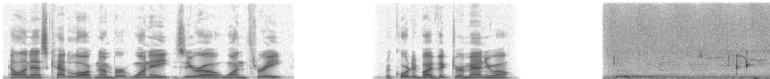 Elegant Crescentchest - ML18013