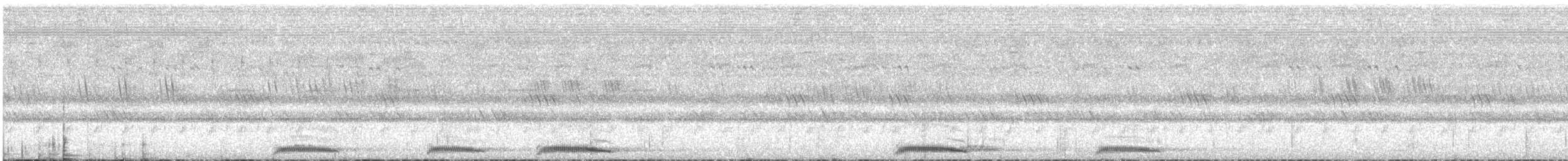 Сова-голконіг андаманська - ML180172111
