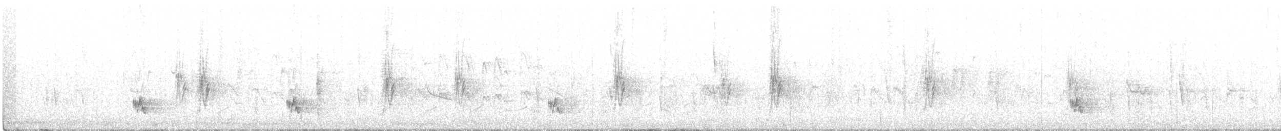 アフリカオウギセッカ - ML180197031