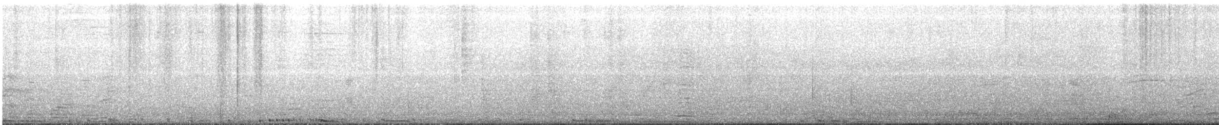 holub skalní (domácí) - ML180212481