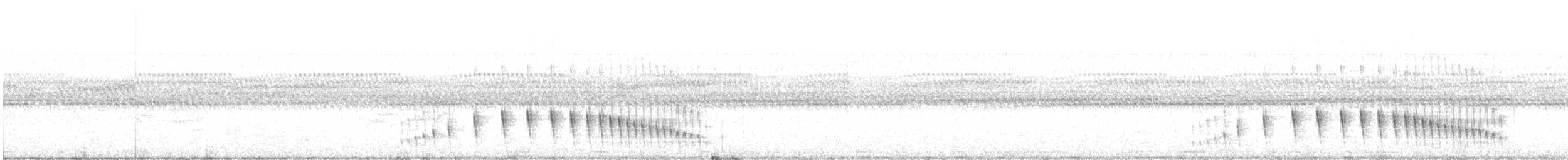 Curve-billed Reedhaunter - ML180217681