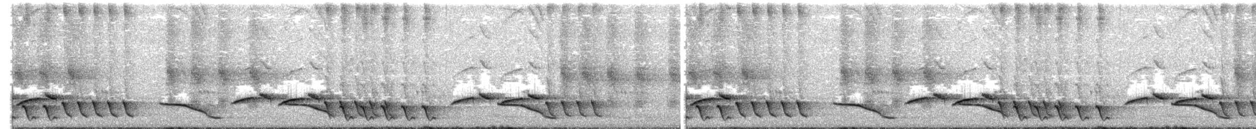 Troglodyte coraya - ML180238831