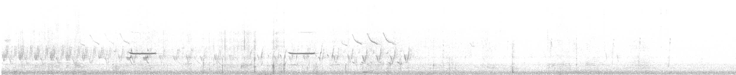 Myzomèle cravaté - ML180264081