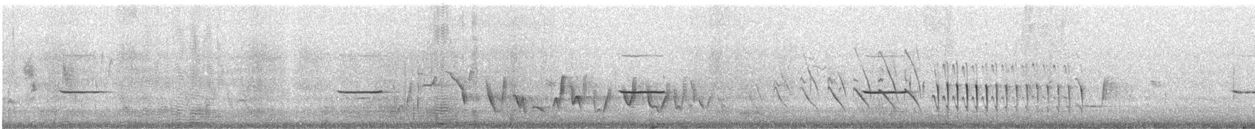 Black Honeyeater - ML180264121