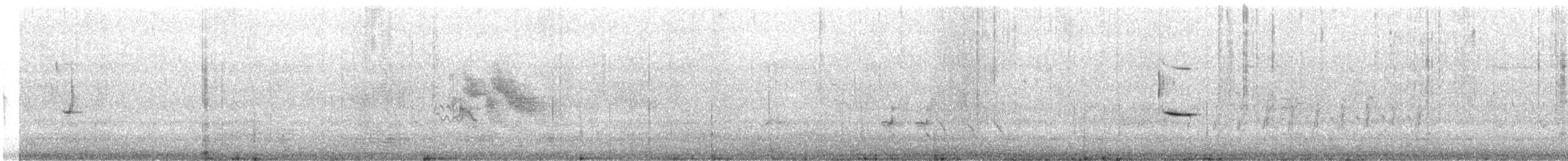 svarthonningeter - ML180264141