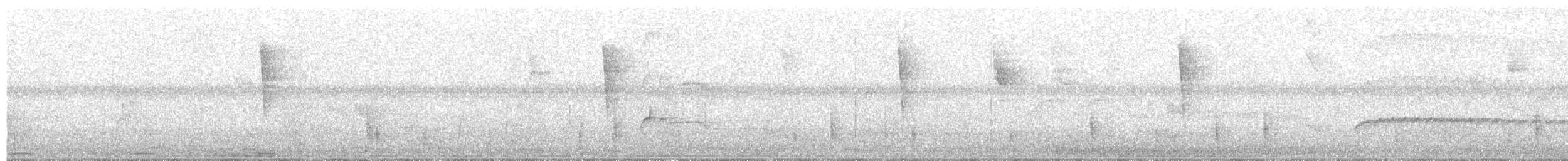 Nutting's/Salvadoran Flycatcher - ML180264291