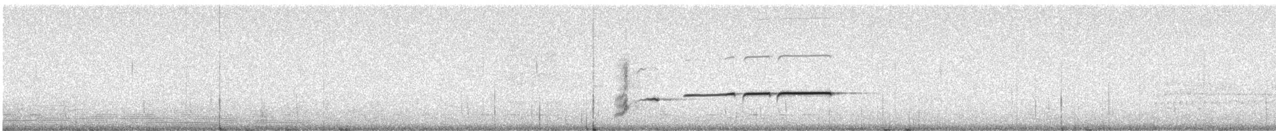 Pied Honeyeater - ML180265091