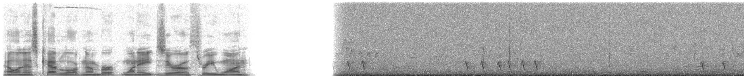 Maranyon Ardıcı - ML18031