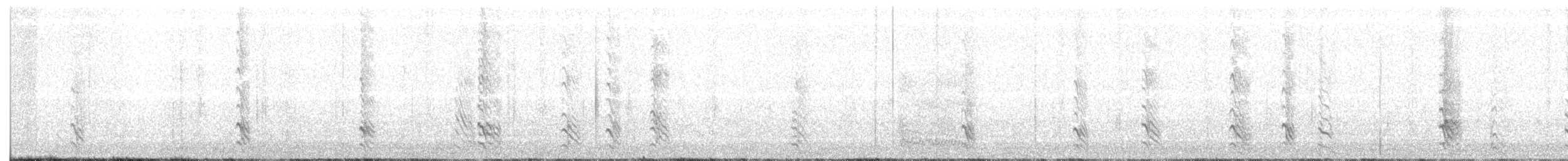Taccola - ML180310441