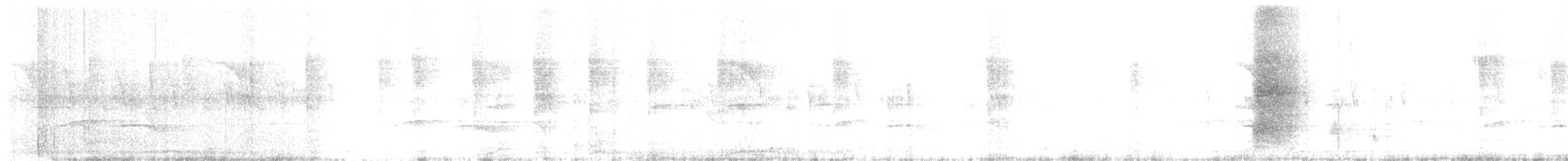 Белобрюхий дронго - ML180385421