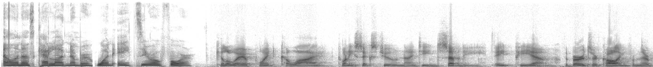 Wedge-tailed Shearwater - ML1804